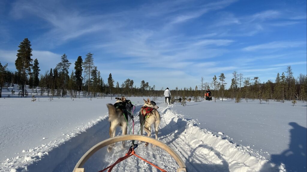 芬蘭拉普蘭區羅瓦涅米哈士奇雪橇 Lapland Husky Tours