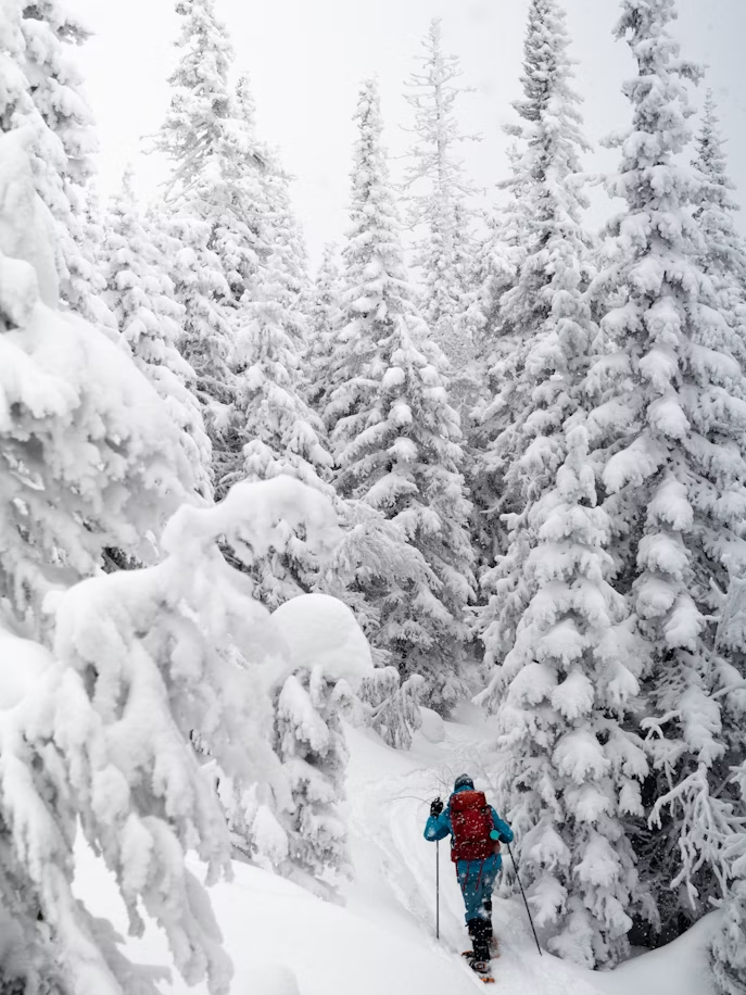 芬蘭拉普蘭區羅瓦涅米雪地徒步 Snowshoeing